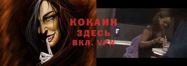 шишки Елабуга