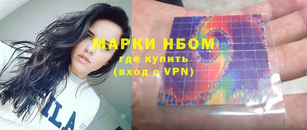 шишки Елабуга