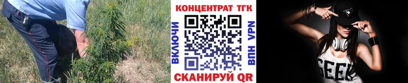 ТГК THC oil  как найти   Любань 